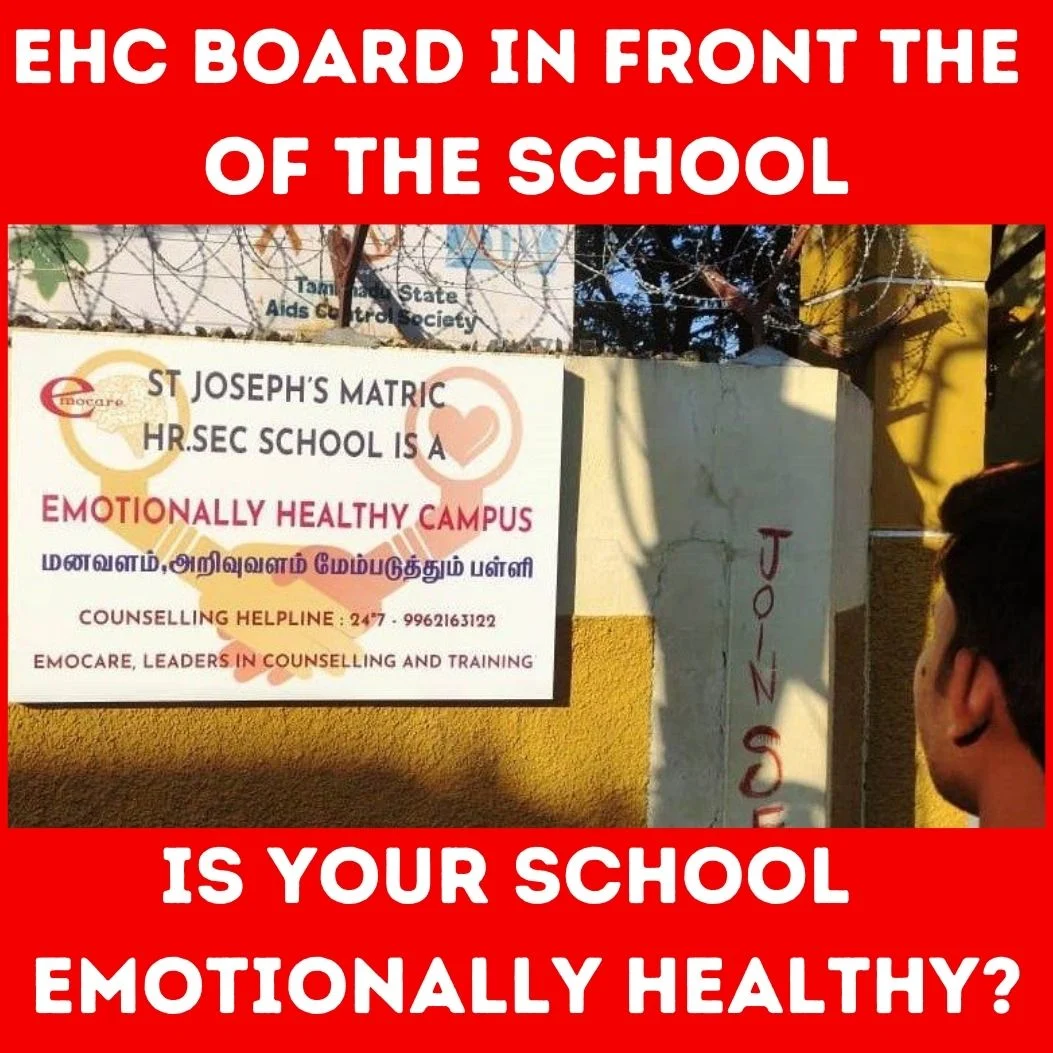 Teachers’ mental health coach training