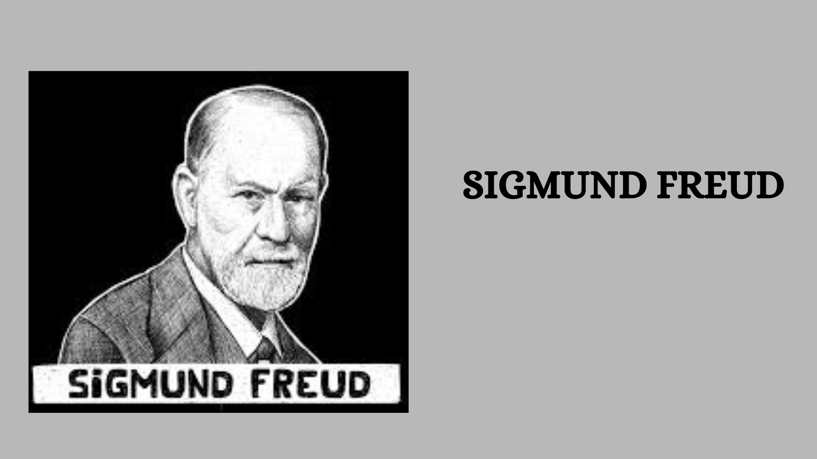 HD froid or freud wallpapers | Peakpx