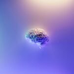 Understanding the Hemispheres of the Brain: Right-Brained vs. Left-Brained Thinking